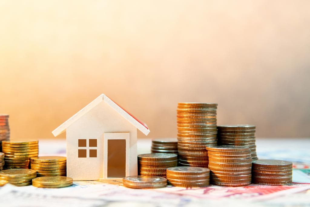 Presupuesto personalizado